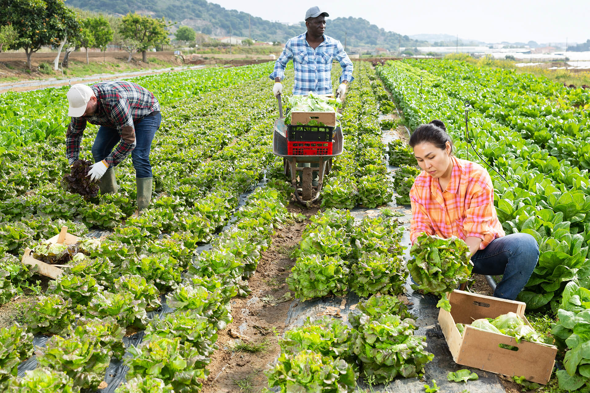 Japanese corporation: Caregate Co., Ltd. Africa